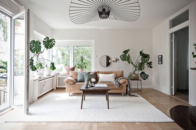 Scandinavische woonstijl met lichte tinten en planten